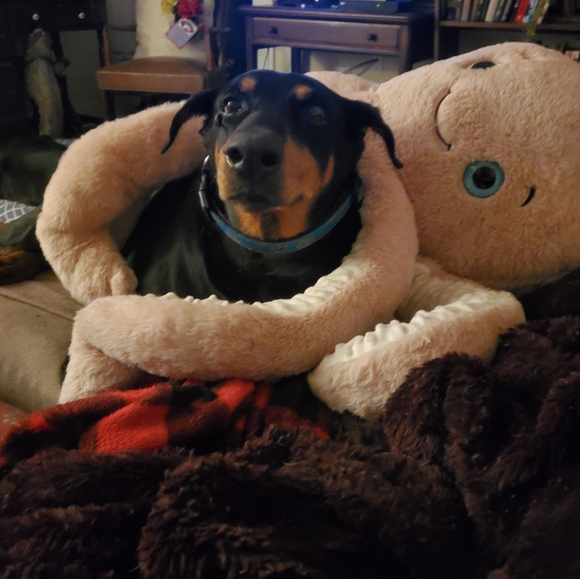 Meet your Posher, Laura - Picture 2 of 4